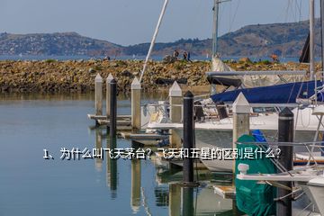 1、為什么叫飛天茅臺？飛天和五星的區(qū)別是什么？