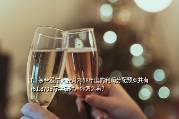 1、茅臺(tái)股東大會(huì)對(duì)2018年度的利潤分配預(yù)案共有751.8705萬票反對(duì)。你怎么看？