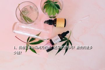 1、我看見(jiàn)茅臺(tái)有兩萬(wàn)的酒，還有更貴的嗎？最貴的是多少錢？