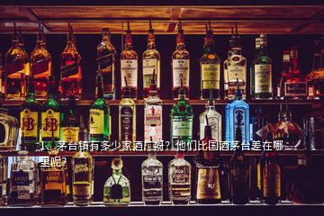 1、茅臺鎮(zhèn)有多少家酒廠呀？他們比國酒茅臺差在哪里呢？