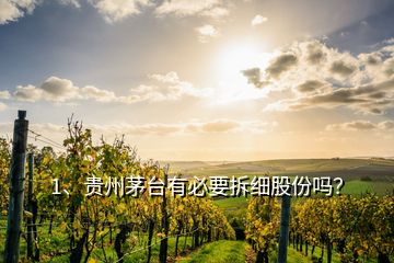 1、貴州茅臺有必要拆細(xì)股份嗎？