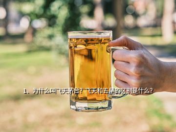 1、為什么叫飛天茅臺(tái)？飛天和五星的區(qū)別是什么？