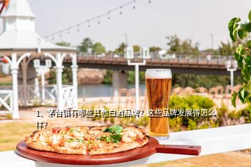 1、茅臺鎮(zhèn)有哪些其他白酒品牌？這些品牌發(fā)展得怎么樣？