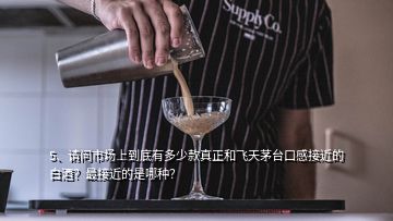 5、請(qǐng)問市場(chǎng)上到底有多少款真正和飛天茅臺(tái)口感接近的白酒？最接近的是哪種？