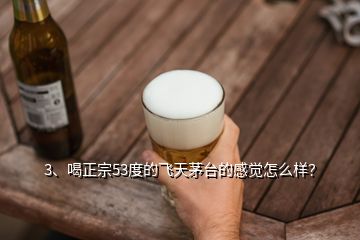 3、喝正宗53度的飛天茅臺的感覺怎么樣？