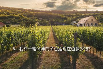 5、我有一箱01年的茅臺(tái)酒現(xiàn)在值多少錢？