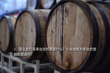 2、雷總此行來茅臺目的是是什么？小米會成為茅臺的營銷新渠道嗎？