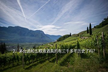 2、茅臺(tái)酒和五糧液酒真的有三千多年歷史了嗎？