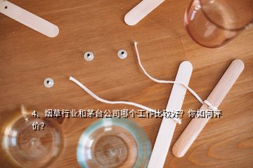 4、煙草行業(yè)和茅臺(tái)公司哪個(gè)工作比較好？你如何評(píng)價(jià)？