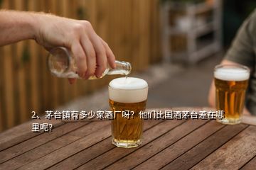 2、茅臺鎮(zhèn)有多少家酒廠呀？他們比國酒茅臺差在哪里呢？