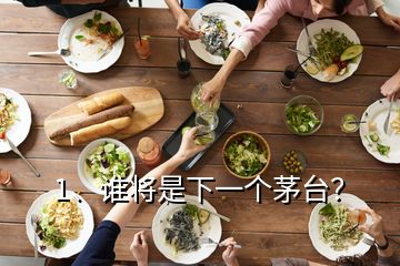 1、誰將是下一個茅臺？