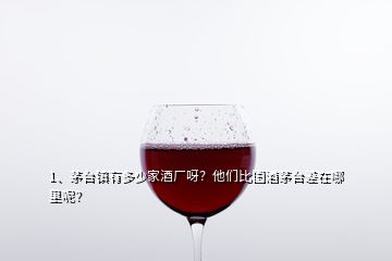 1、茅臺鎮(zhèn)有多少家酒廠呀？他們比國酒茅臺差在哪里呢？