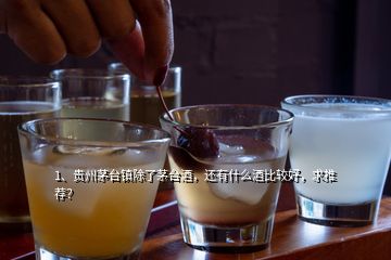 1、貴州茅臺鎮(zhèn)除了茅臺酒，還有什么酒比較好，求推薦？