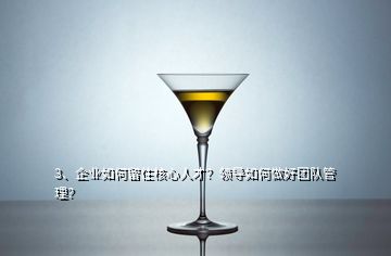 3、企業(yè)如何留住核心人才？領(lǐng)導(dǎo)如何做好團(tuán)隊(duì)管理？