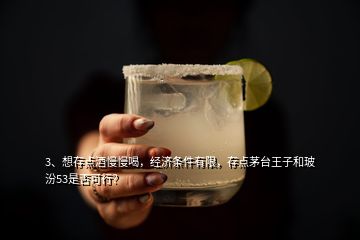 3、想存點酒慢慢喝，經濟條件有限，存點茅臺王子和玻汾53是否可行？