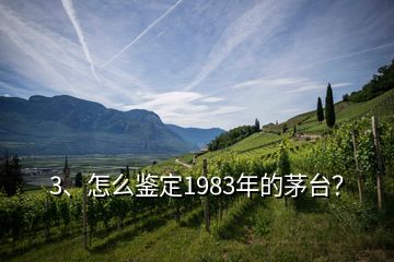 3、怎么鑒定1983年的茅臺(tái)？