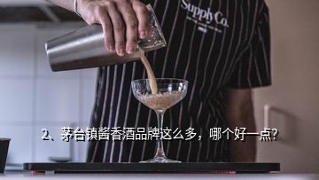 2、茅臺鎮(zhèn)醬香酒品牌這么多，哪個好一點？