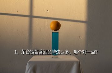 1、茅臺(tái)鎮(zhèn)醬香酒品牌這么多，哪個(gè)好一點(diǎn)？