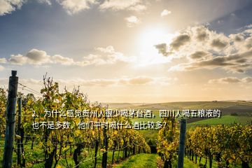 2、為什么感覺貴州人很少喝茅臺(tái)酒，四川人喝五糧液的也不是多數(shù)，他們平時(shí)喝什么酒比較多？