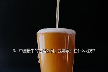 3、中國最牛的白酒公司，是哪家？在什么地方？