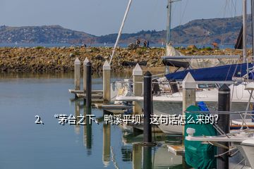 2、“茅臺之下、鴨溪平壩”這句話怎么來的？