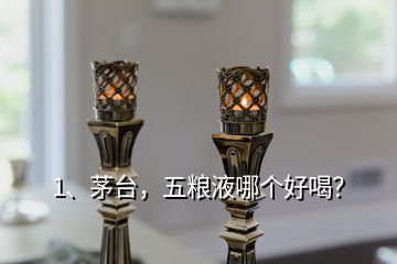 1、茅臺，五糧液哪個好喝？