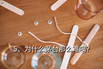 5、為什么茅臺(tái)那么難喝？