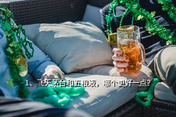 1、飛天茅臺和五糧液，哪個更好一點？