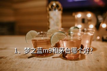 1、夢之藍m9和茅臺哪個好？