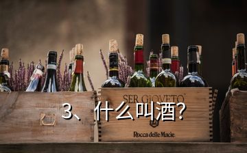 3、什么叫酒？