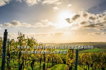 2、貴州茅臺(tái)、國(guó)酒茅臺(tái)從6月30日起不在是國(guó)酒茅臺(tái)商標(biāo)?了，你們覺得茅臺(tái)酒改什么名字合適？