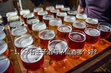 1、茅臺王子酒與茅仙酒哪個好？