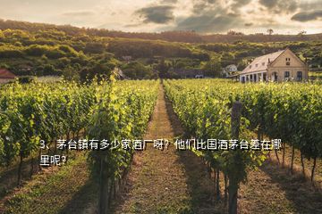 3、茅臺鎮(zhèn)有多少家酒廠呀？他們比國酒茅臺差在哪里呢？