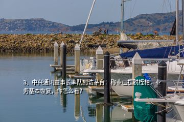 3、中興通訊董事長(zhǎng)率隊(duì)到訪茅臺(tái)：稱業(yè)已擺脫桎梏，業(yè)務(wù)基本恢復(fù)，你怎么看？