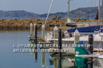 3、為什么喝茅臺(tái)不會(huì)拒絕五糧液，而多次遇到愛喝五糧液的人卻拒喝茅臺(tái)，理由是不喜歡醬香？