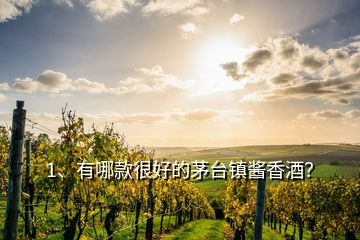 1、有哪款很好的茅臺(tái)鎮(zhèn)醬香酒？