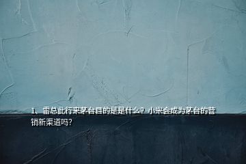 1、雷總此行來茅臺目的是是什么？小米會成為茅臺的營銷新渠道嗎？