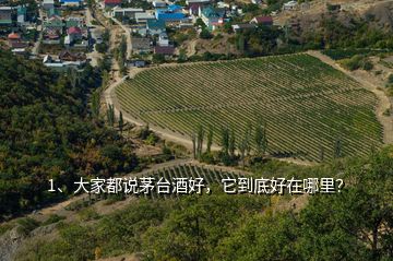 1、大家都說(shuō)茅臺(tái)酒好，它到底好在哪里？