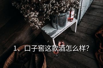 1、口子窖這款酒怎么樣？