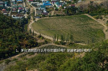 1、茅臺(tái)酒到底什么年份的最好喝？是越老越好喝嗎？