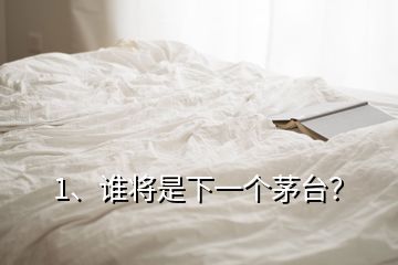 1、誰將是下一個(gè)茅臺(tái)？