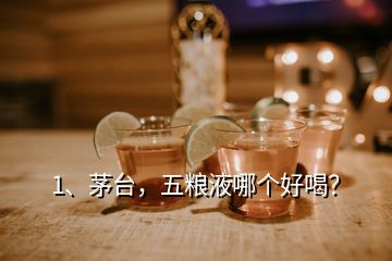 1、茅臺，五糧液哪個好喝？