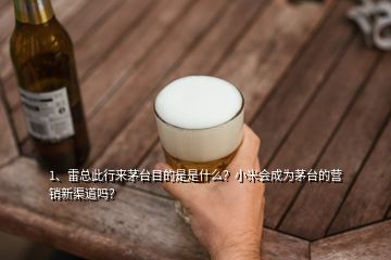 1、雷總此行來茅臺(tái)目的是是什么？小米會(huì)成為茅臺(tái)的營(yíng)銷新渠道嗎？