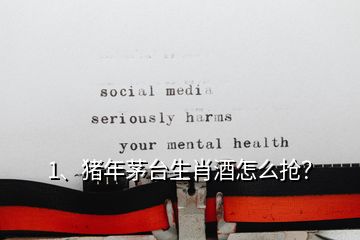 1、豬年茅臺生肖酒怎么搶？