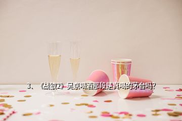 3、《戰(zhàn)狼2》吳京喝酒那段是真喝的茅臺(tái)嗎？