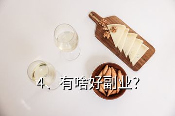 4、有啥好副業(yè)？