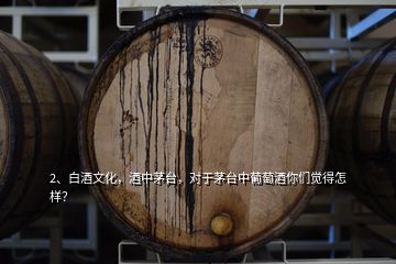 2、白酒文化，酒中茅臺(tái)，對(duì)于茅臺(tái)中葡萄酒你們覺得怎樣？