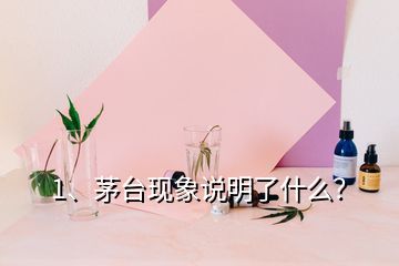 1、茅臺現(xiàn)象說明了什么？