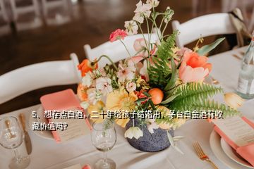 5、想存點(diǎn)白酒，二十年給孩子結(jié)婚用，茅臺(tái)白金酒有收藏價(jià)值嗎？