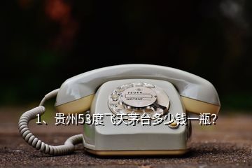 1、貴州53度飛天茅臺(tái)多少錢一瓶？